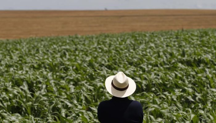 Reflexos do conflito no Oriente Médio vão de custos de fertilizantes e combustíveis a rotas de...