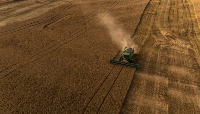 Colheita de cevada (Foto: Almir Junior/Cooperativa Agrária)