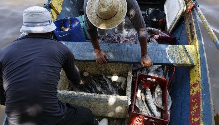 © Fernando Frazão/Agência Brasil