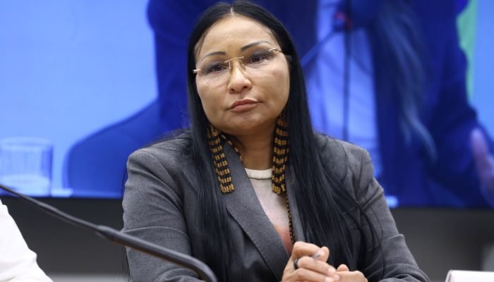 unanimidade, TSE mantém cassação de Silvia Waiãpi