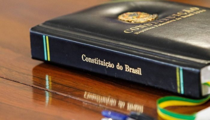 Os constituintes prepararam o terreno para restabelecer a democracia no Brasil, mas a Constituiç...