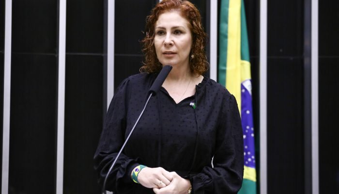 Pedido do governo brasileiro foi aprovado e Zambelli deve vir ao Brasil para cumprir pena na peni...