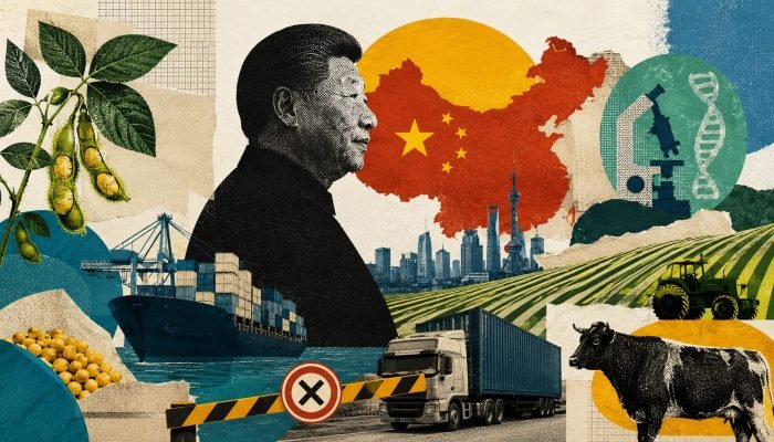 Em seu 15º Plano Quinquenal (2026-2030), China prioriza segurança alimentar, estabelecendo entr...