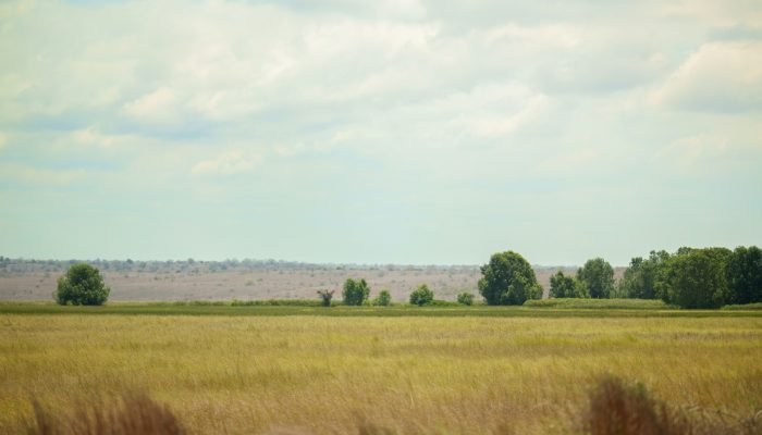 Terras em Angola apresentam semelhança com Cerrado brasileiro, segundo adido agrícola do Brasil...
