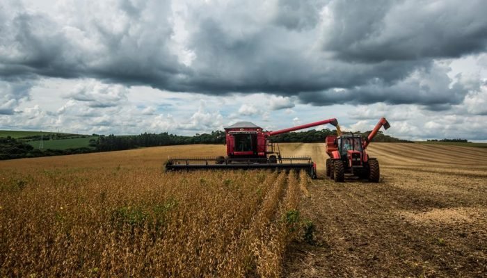 Dados do Cepea/CNA referentes ao terceiro trimestre de 2025 mostram alta no número de trabalhado...